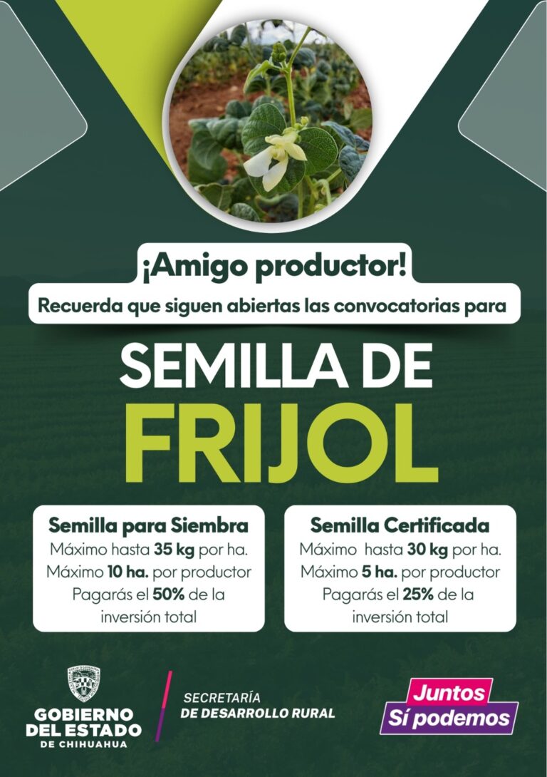Invierte Desarrollo Rural 6 mdp en subsidios para la adquisición de semilla de frijol