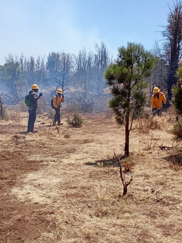 Combaten 438 brigadistas 18 incendios forestales activos en Chihuahua