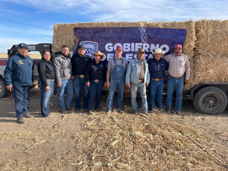 Apoyan con 150 mil pacas de rastrojo a más de 10 mil productores ante efectos de la sequía