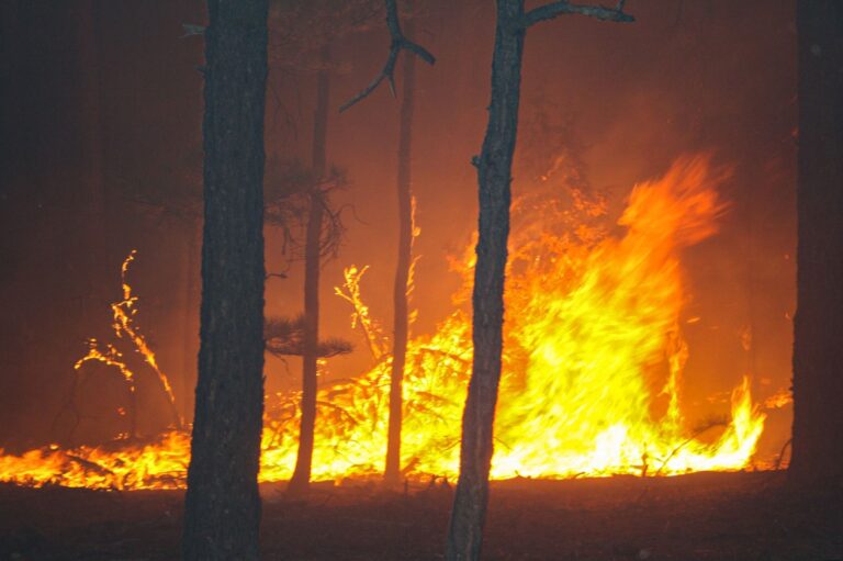 Refuerza Maru Campos acciones contra incendios forestales