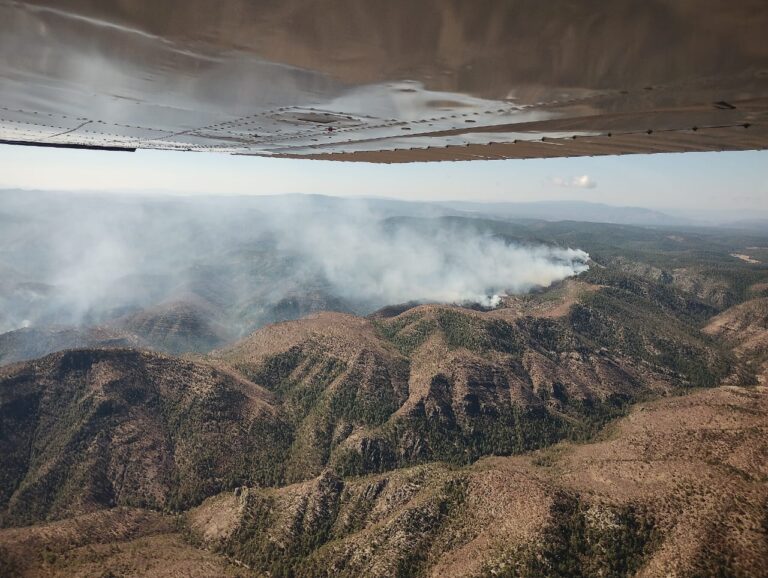 Reporta SDR 11 incendios forestales activos en el estado
