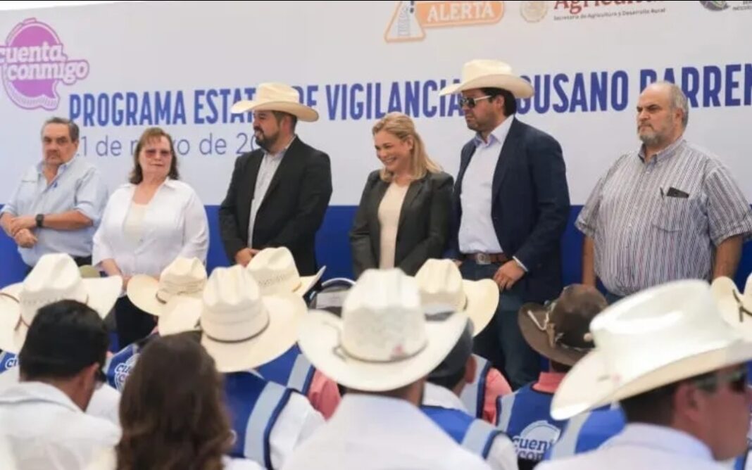 Gobierno de Maru Campos y ganaderos mantienen a Chihuahua libre de gusano barrenador