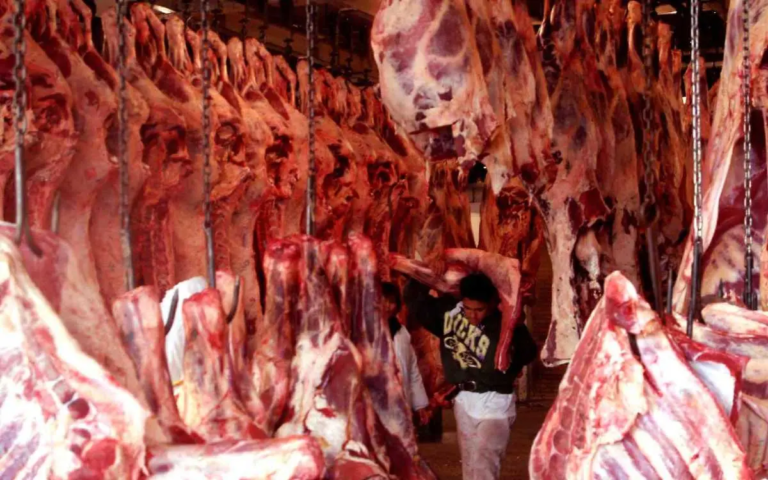 «México Desplaza a EU: Se Convierte en el Segundo Destino de la Carne de Res Brasileña»