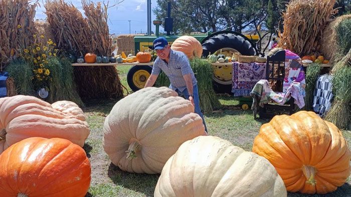 Colores, sabores y tradiciones: llega el Festival de Otoño a los campos menonitas de Cuauhtémoc