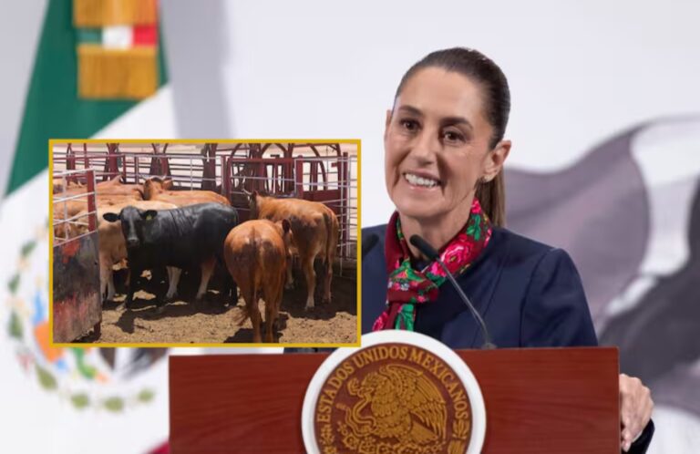 “Inicia la próxima semana el plan de apoyo a ganaderos en Sonora, Coahuila y Durango”