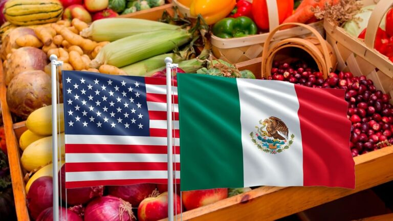 “Cierre fronterizo frena el campo mexicano: exportaciones agroalimentarias caen casi 5%”