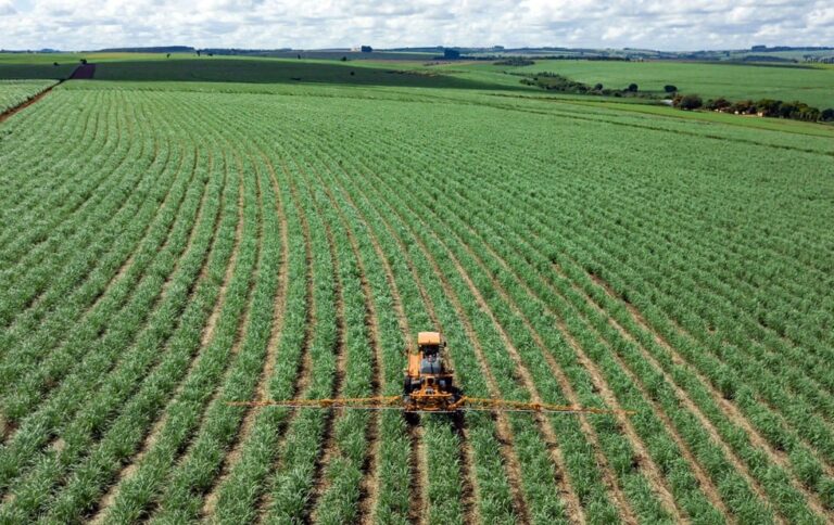 “Sentencia histórica: 1,548 hectáreas entregadas al ejido Agua Caliente en Chihuahua”