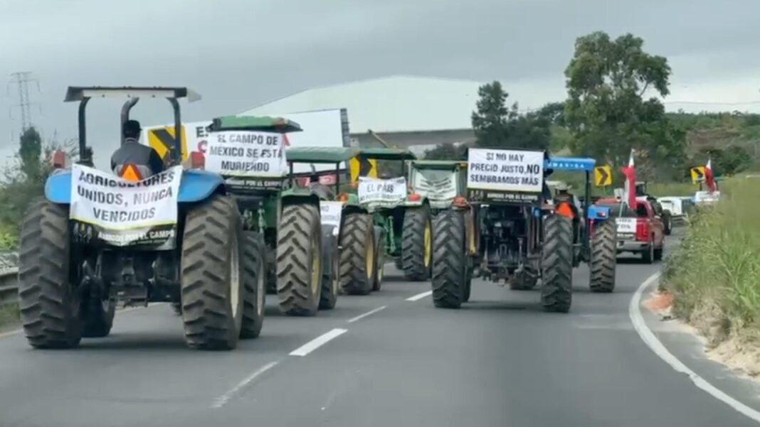 Transportistas y campesinos anuncian bloqueos carreteros para exigir apoyo al campo mexicano