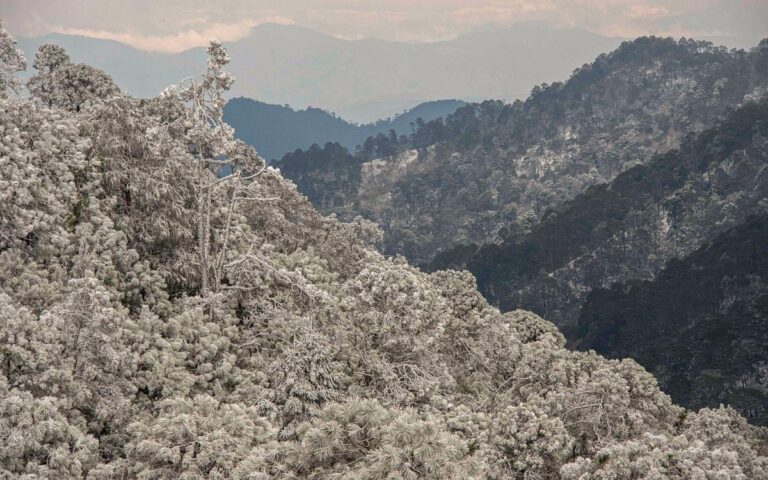 Frente frío podría pintar de blanco la sierra de Chihuahua este fin de semana