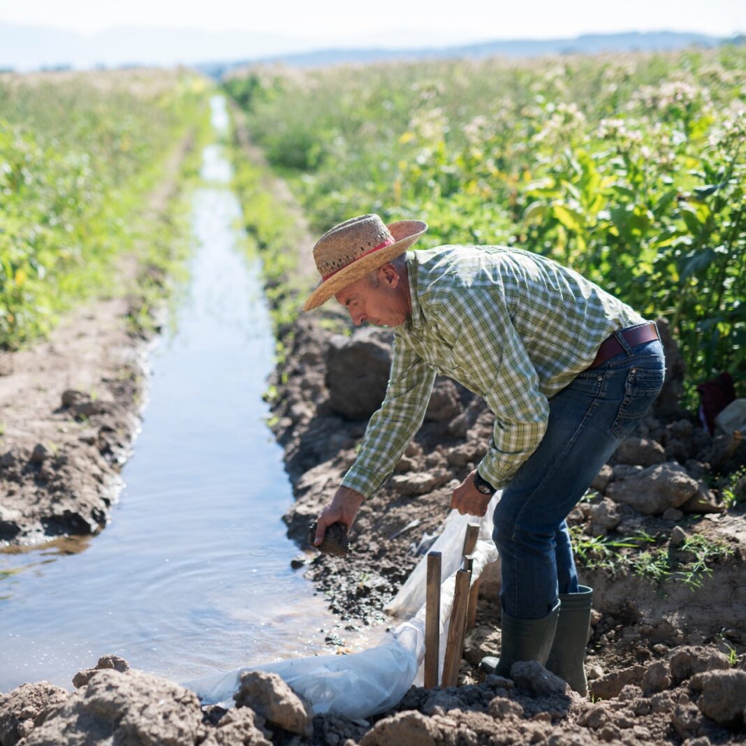 CONAGUA desmiente rumores: las concesiones de agua sí pueden heredarse