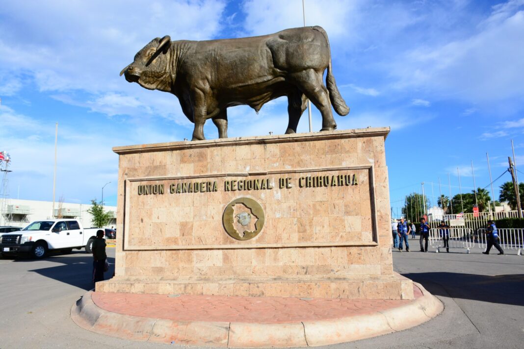 Rescate al campo: asociaciones ganaderas recibirán hasta 300 mil pesos para mejorar su infraestructura