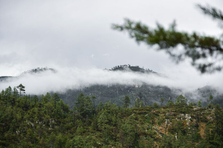Cuarta tormenta invernal traerá heladas y posible nieve a Chihuahua