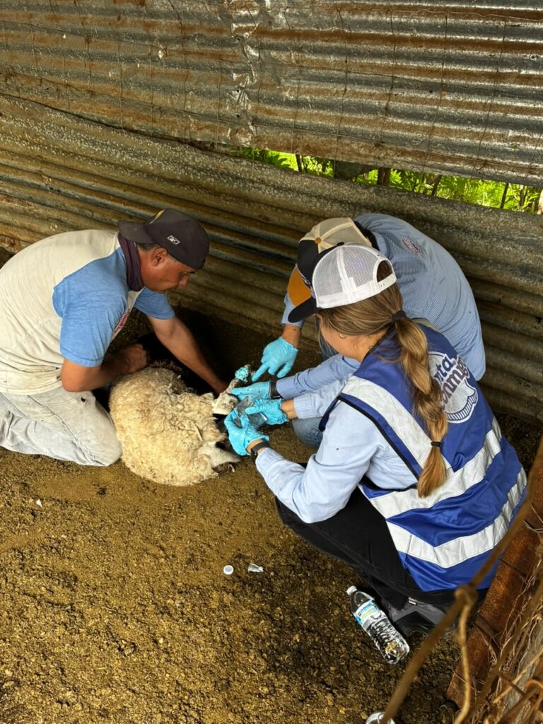 Continúa Gobierno del Estado barrido sanitario para prevenir el GBG en Parral