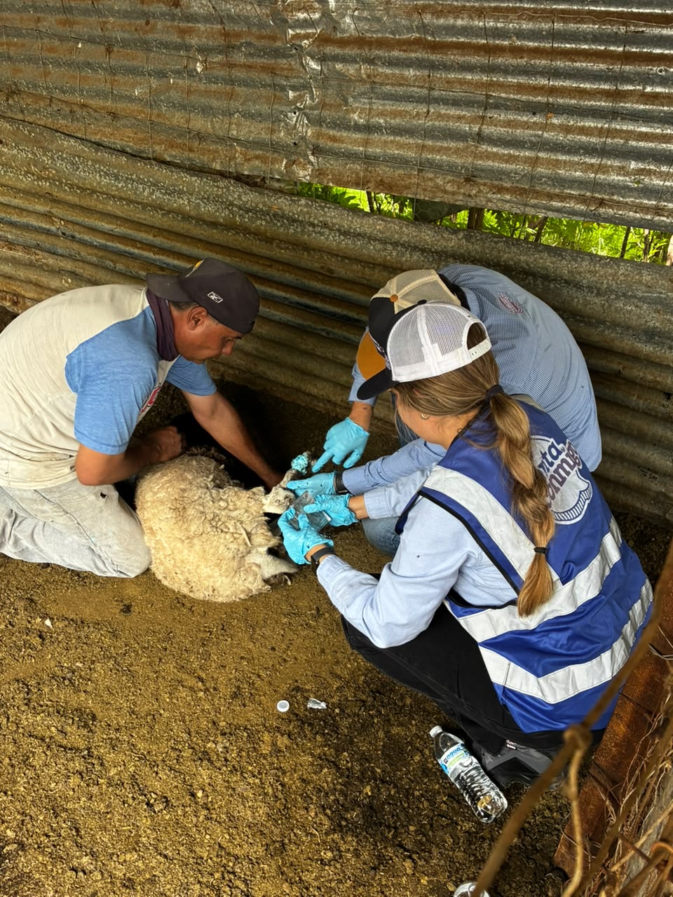 Continúa Gobierno del Estado barrido sanitario para prevenir el GBG en Parral