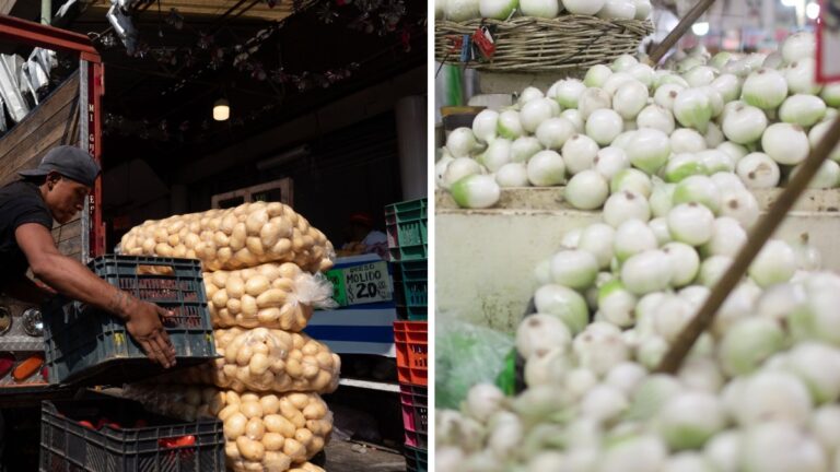Cebolla dispara su precio y encarece la canasta alimentaria en México